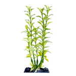 PENN PLAX Műnövény 18 cm Blooming Ludwigia (Green) S