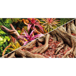 HOBBY Akvárium háttér kétoldalas Jungle / Strangler Fig 50cm x 25m